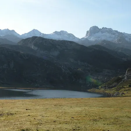 La Estacion * يانس