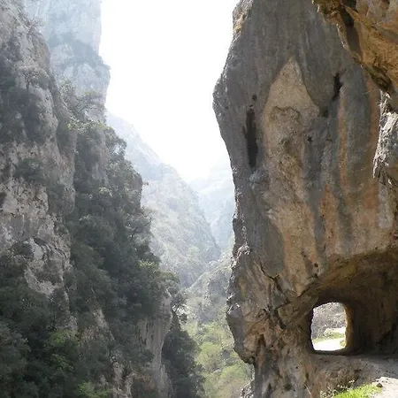 La Estacion بيت شباب